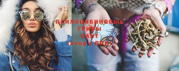 твердый Снежинск
